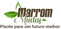Marrom Mudas